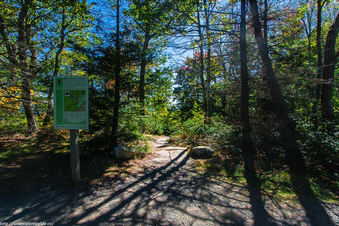 Millbrook Mountain Trail Head